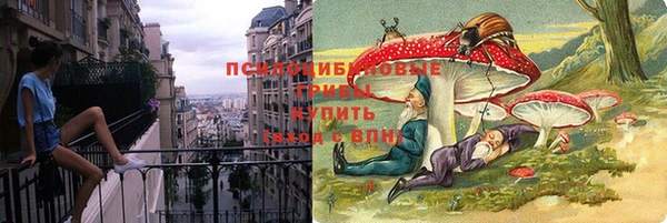 каннабис Дмитров
