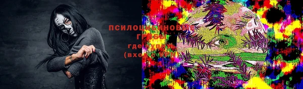 таблы Дмитриев
