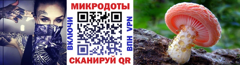 Псилоцибиновые грибы ЛСД  наркошоп  MEGA зеркало  Городище 